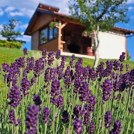 Apartamento Apartma Relax