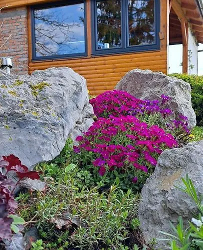 Apartma Relax Daire Prestranek